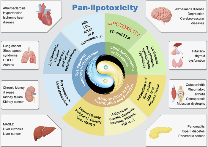 From lipotoxicity to pan-lipotoxicity.