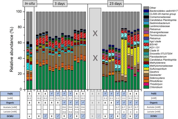 Cryptic iron cycling influenced by organic carbon availability in a seasonally stratified lake.