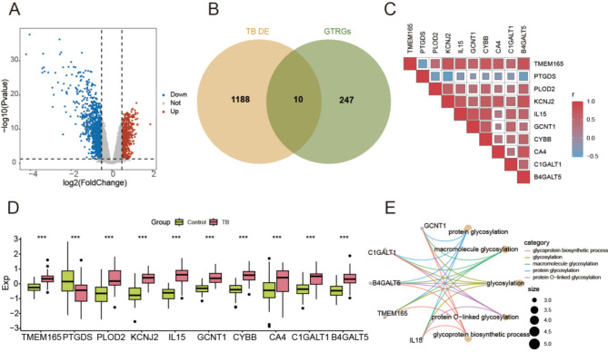 Identification and functional characterization of glycosyltransferase-related biomarkers for tuberculosis diagnosis.