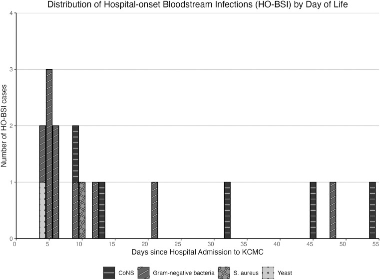 Clinical characteristics, antimicrobial resistance, and mortality of neonatal bloodstream infections in Northern Tanzania, 2022-2023.
