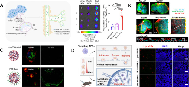 Emerging strategies in lymph node-targeted nano-delivery systems for tumor immunotherapy.