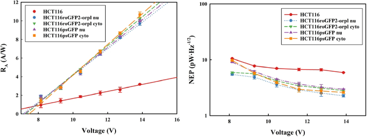 Black phosphorus enabled non-invasive protein detection with electromagnetic induction well terahertz biosensor chips.