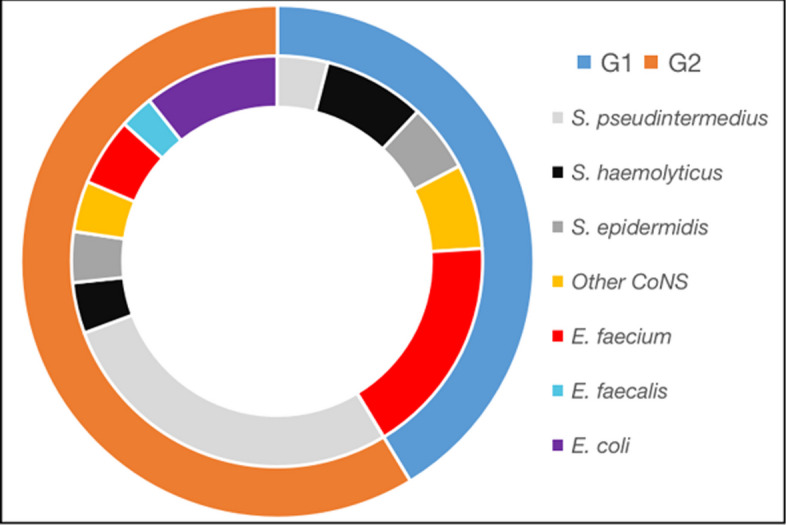 Genotypic profile of Staphylococcus spp., Enterococcus spp., and E. coli colonizing dogs, surgeons, and environment during the intraoperative period: a cross-sectional study in a veterinary teaching hospital in Brazil.