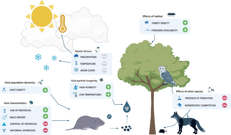 Ecological determinants driving orthohantavirus prevalence in small mammals of Europe: a systematic review.