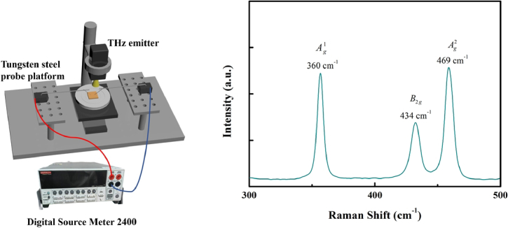 Black phosphorus enabled non-invasive protein detection with electromagnetic induction well terahertz biosensor chips.