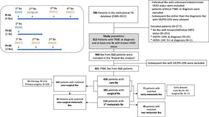 Dynamic HER2-low status among patients with triple negative breast cancer (TNBC) and the impact of repeat biopsies.