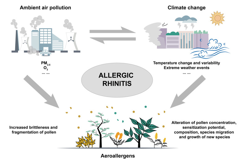 Chinese Expert Consensus on the Impact of Ambient Air Pollution on Allergic Rhinitis and Recommendations for Mitigation Strategies.