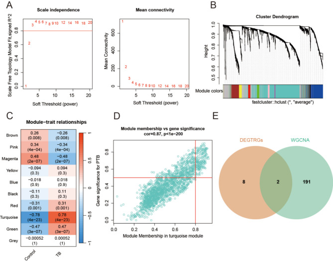 Identification and functional characterization of glycosyltransferase-related biomarkers for tuberculosis diagnosis.