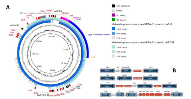 IS26 carrying bla<sub>KPC-2</sub> mediates carbapenem resistance heterogeneity in extensively drug-resistant Klebsiella pneumoniae isolated from clinical sites.