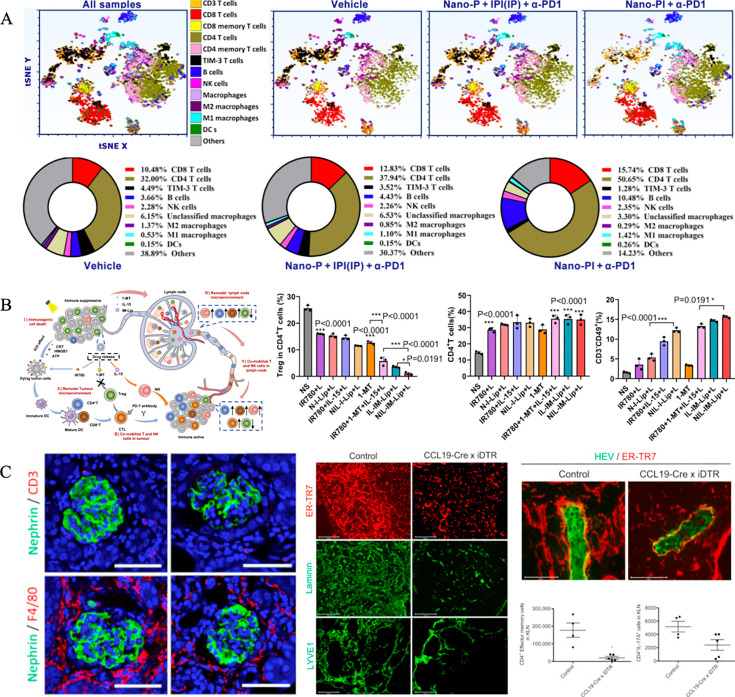 Emerging strategies in lymph node-targeted nano-delivery systems for tumor immunotherapy.