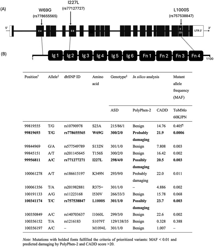 Association Analysis of Rare CNTN5 Variants With Autism Spectrum Disorder in a Japanese Population.