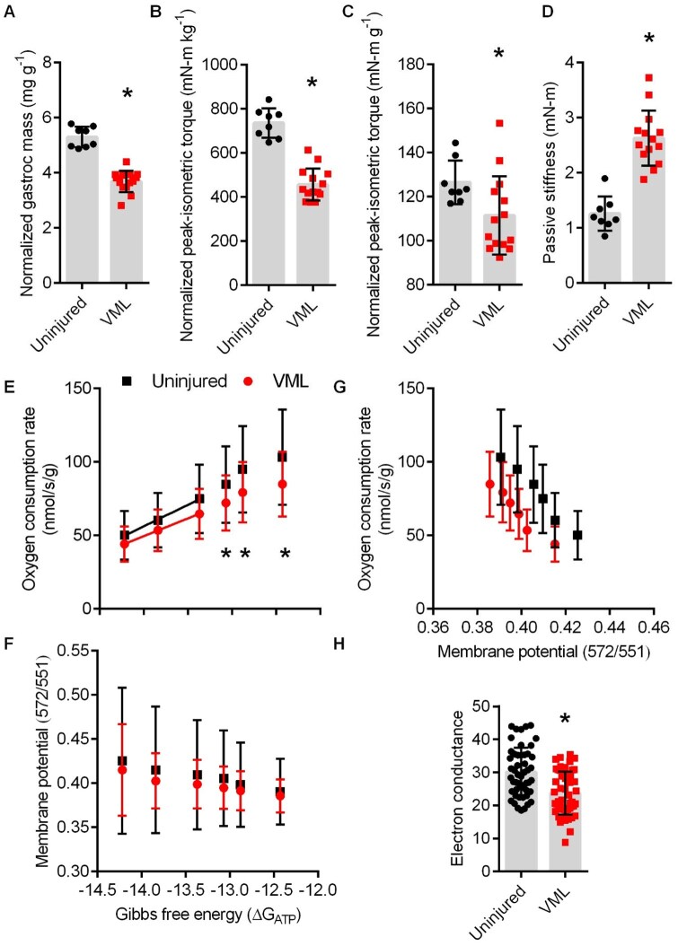 Advancing β-adrenoreceptor agonism for recovery after volumetric muscle loss through regenerative rehabilitation and biomaterial delivery approaches.