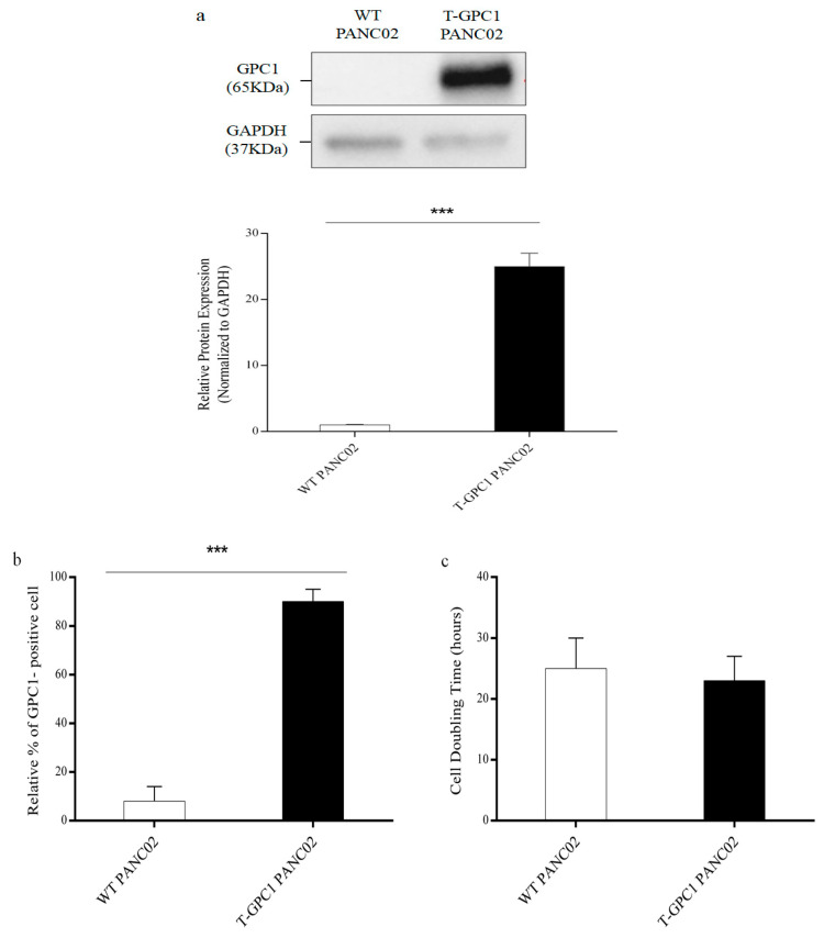 Gut Microbiota-Based Immunotherapy: Engineered <i>Escherichia coli</i> Nissle 1917 for Oral Delivery of Glypican-1 in Pancreatic Cancer.