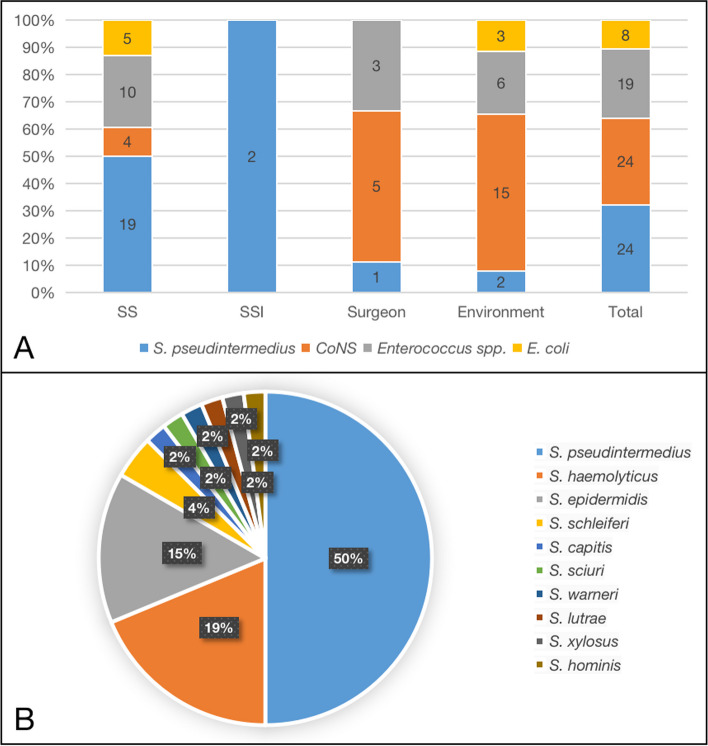 Genotypic profile of Staphylococcus spp., Enterococcus spp., and E. coli colonizing dogs, surgeons, and environment during the intraoperative period: a cross-sectional study in a veterinary teaching hospital in Brazil.