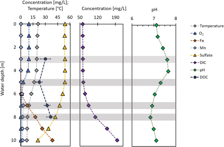 Cryptic iron cycling influenced by organic carbon availability in a seasonally stratified lake.