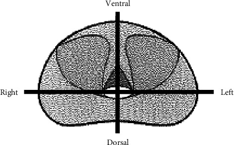 Abstract Image