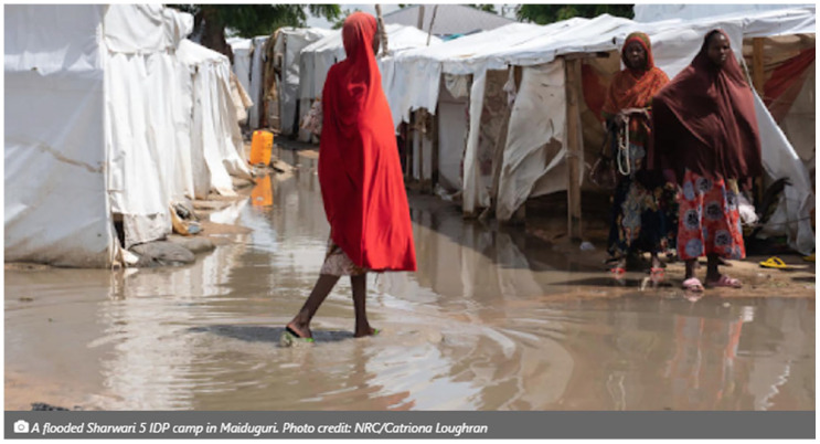 Impact of Climate Change-Induced Flooding Water Related Diseases and Malnutrition in Borno State, Nigeria: A Public Health Crisis.