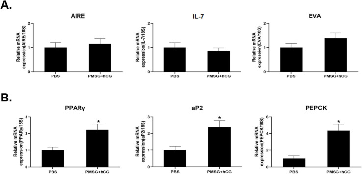 Repeated Gonadotropin Administration Suppresses T Cell Development in the Mouse Thymus.