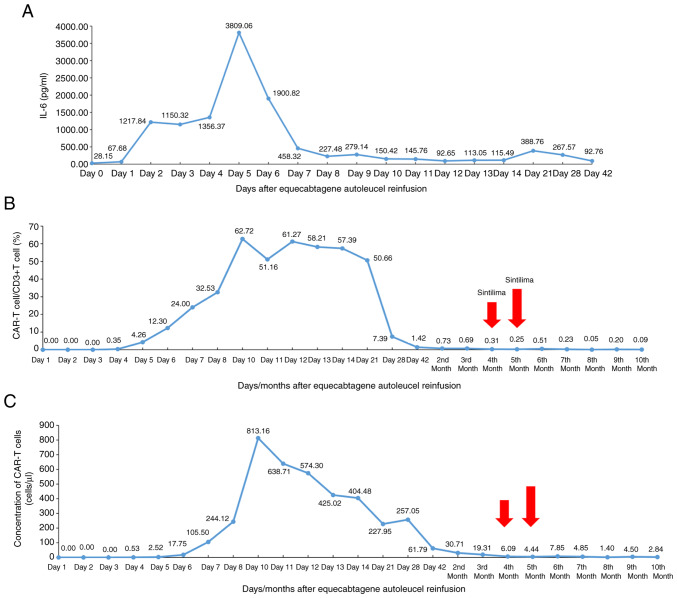 Achieving stringent complete remission in relapsed/refractory multiple myeloma with liver extramedullary disease after CAR‑T cell therapy: A case report.
