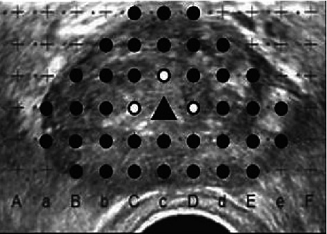 Abstract Image