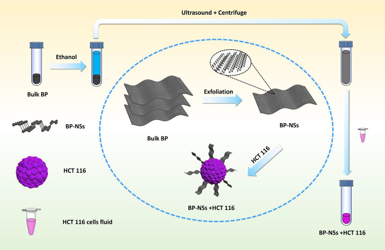 Black phosphorus enabled non-invasive protein detection with electromagnetic induction well terahertz biosensor chips.