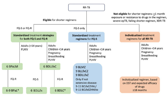 A Year in Review on Tuberculosis and Non-tuberculous Mycobacteria Disease: A 2025 Update for Clinicians and Scientists.