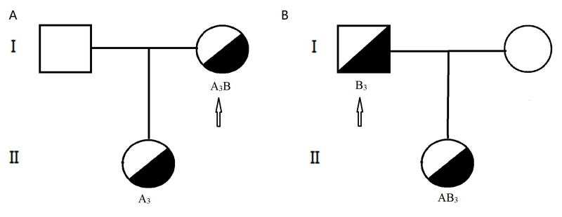The -72G>A nucleotide substitution impairs transcription of the ABO gene via reduction of promoter activity.