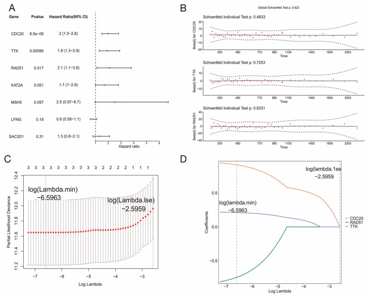 Prognostic Value of Centrosome Replication-Related Genes in Prostate Cancer Based on Transcriptomic and Mendelian Randomization.