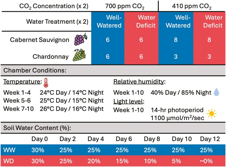 <i>Vitis vinifera</i> L. varieties (cv. Cabernet Sauvignon and Chardonnay) vary in leaf water flux in response to elevated CO<sub>2</sub> growing conditions and a gradual water deficit.