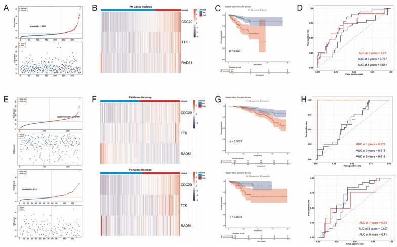 Prognostic Value of Centrosome Replication-Related Genes in Prostate Cancer Based on Transcriptomic and Mendelian Randomization.