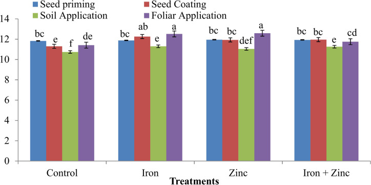 Enhancing zinc and iron biofortification in mungbean (Vigna radiata L.) through various application method.