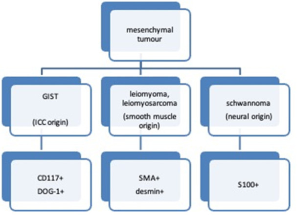 Cytological Diagnosis of Hepatic Metastasis from Rectal Gastrointestinal Stromal Tumor: A Case Report.