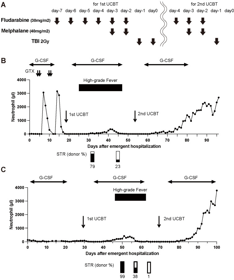 Salvage UCBT with Short-Term Melphalan-based Reduced-Intensity Conditioning for Primary Graft Failure after Upfront UCBT for Fulminant Aplastic Anemia.