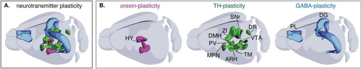 Drugs of abuse drive neurotransmitter plasticity that alters behavior: implications for mental health.
