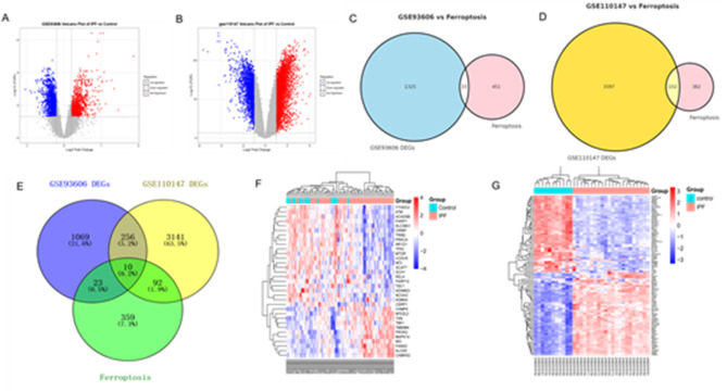 Identification and validation of biomarkers related to ferroptosis in idiopathic pulmonary fibrosis.