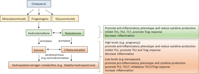The Impact of Menopause on Autoimmune and Rheumatic Diseases.