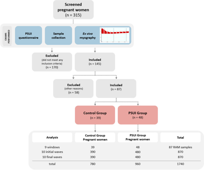 Ex vivo myo-mechanical assessment of isolated rectus abdominis muscle in pregnancy-specific urinary incontinence: a cross-sectional study nested within the Diamater cohort.