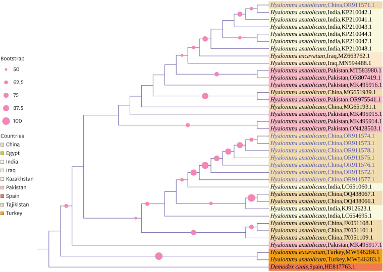 Evaluation of acaricidal effect of terpinolene and γ-terpinene on <i>Hyalomma anatolicum</i> and <i>in silico</i> screening of herbs.