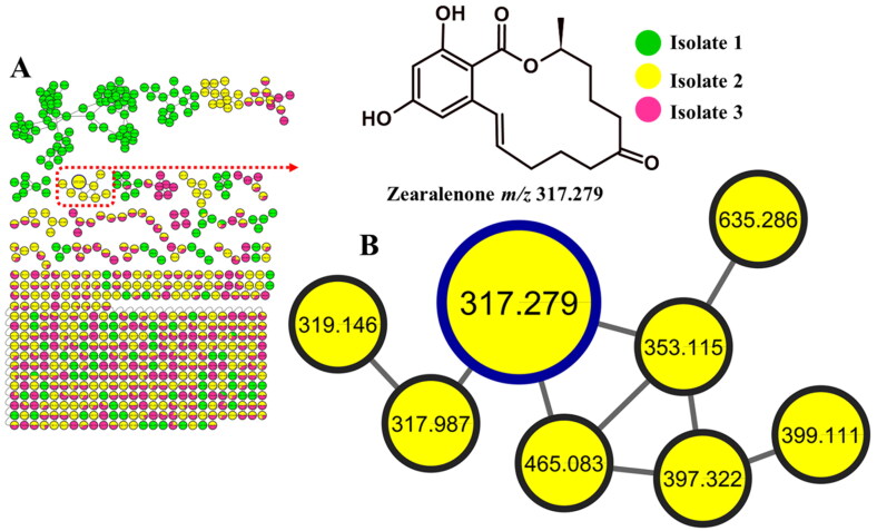 First Report of Zearalenone Production by <i>Talaromyces</i> Isolated from <i>Bidens pilosa</i> Using LC-q-TOF-MS and Molecular Networking.