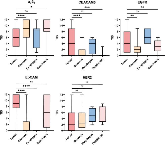 Selecting Targets for Molecular Imaging of Gastric Cancer: An Immunohistochemical Evaluation.