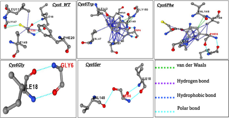 Impact of cysteine mutations on the structural dynamics and functional impairment of SOD1: insights into the pathogenicity of amyotrophic lateral sclerosis.