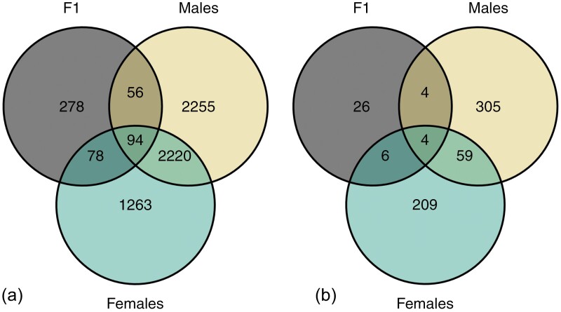 Microplastic exposure is associated with epigenomic effects in the model organism Pimephales promelas (fathead minnow).