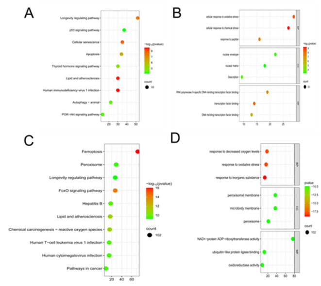 Identification and validation of biomarkers related to ferroptosis in idiopathic pulmonary fibrosis.