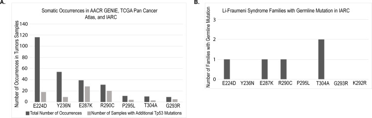 Mis-splicing drives loss of function of p53E224D point mutation.
