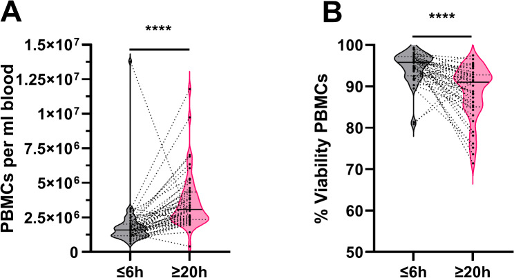 Effect of delayed isolation of peripheral blood mononuclear cells on cell viability and functionality.