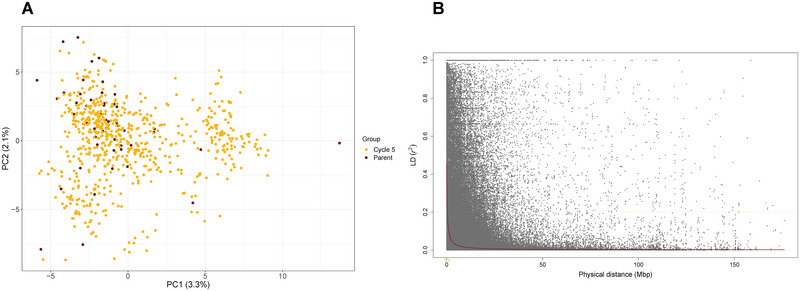 Improving complex agronomic and domestication traits in the perennial grain crop intermediate wheatgrass with genetic mapping and genomic prediction.
