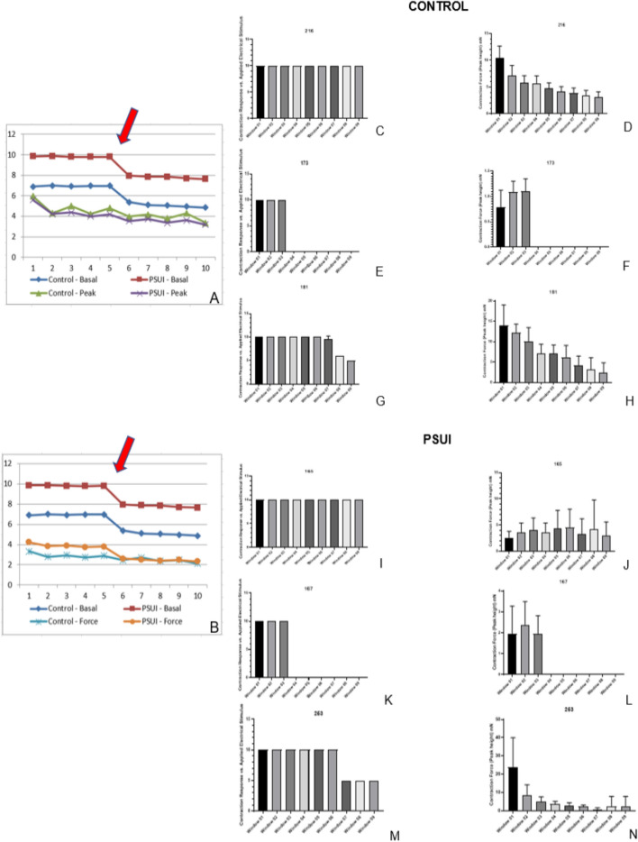 Ex vivo myo-mechanical assessment of isolated rectus abdominis muscle in pregnancy-specific urinary incontinence: a cross-sectional study nested within the Diamater cohort.