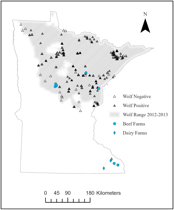 Abstract Image