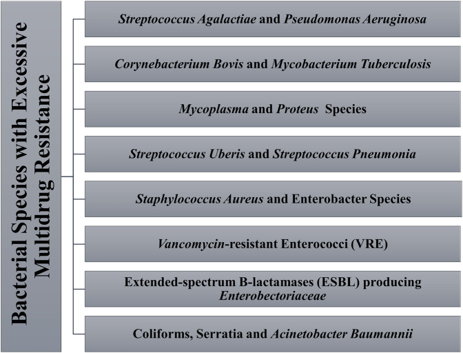 Phagetherapy updates: New frontiers against antibiotic resistance.