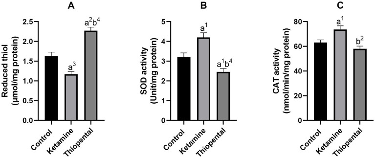 The impact of ketamine and thiopental anesthesia on ultraweak photon emission and oxidative-nitrosative stress in rat brains.